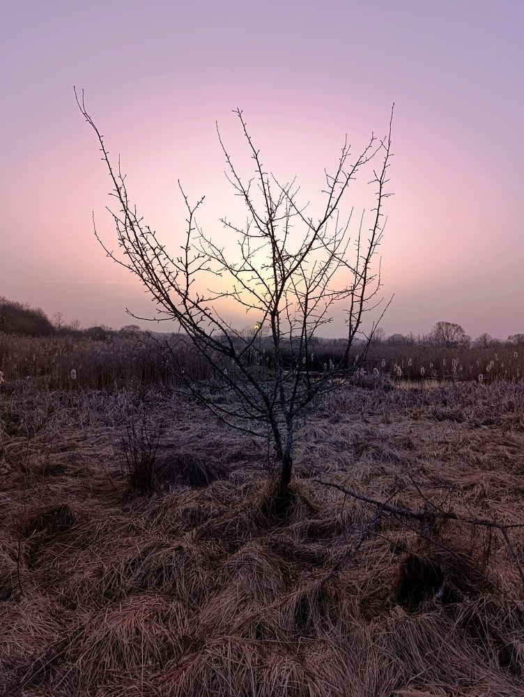 Photograph by Светлана Таркан