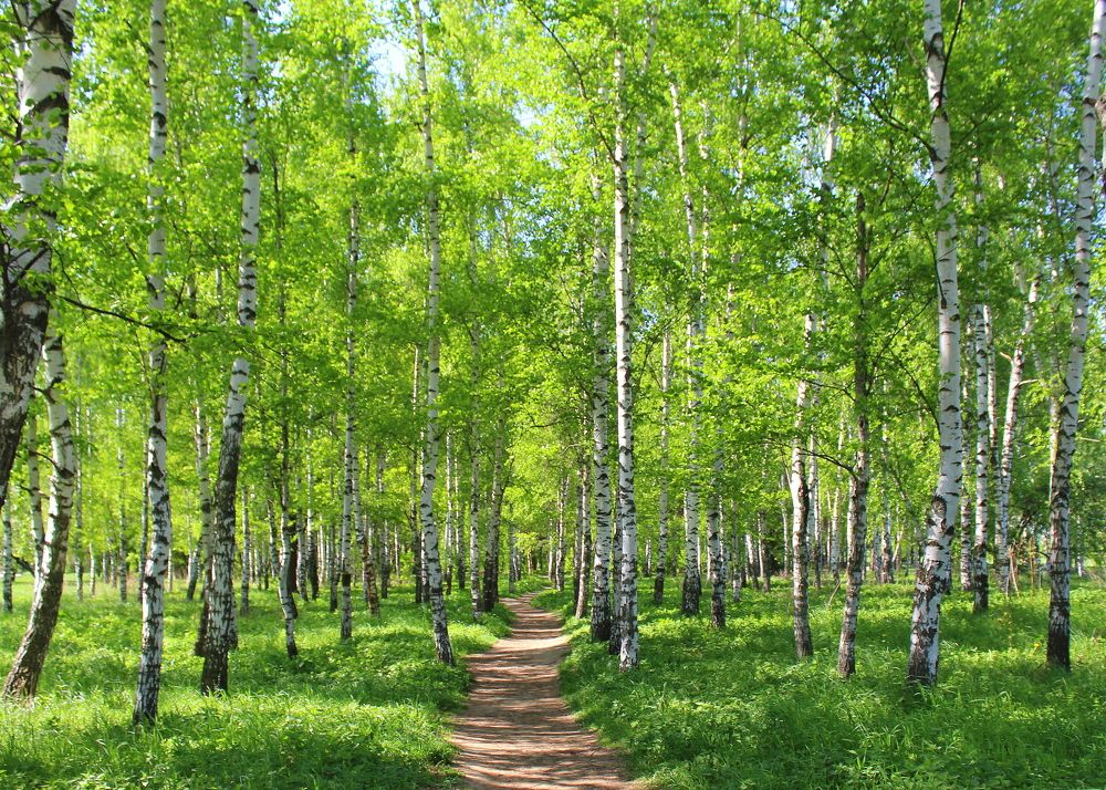 Photograph by Жанна Нечаева