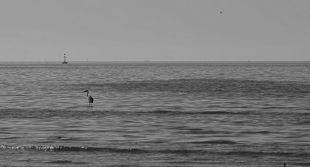 Photograph by SILVIA CLELIA AGOSTINIS