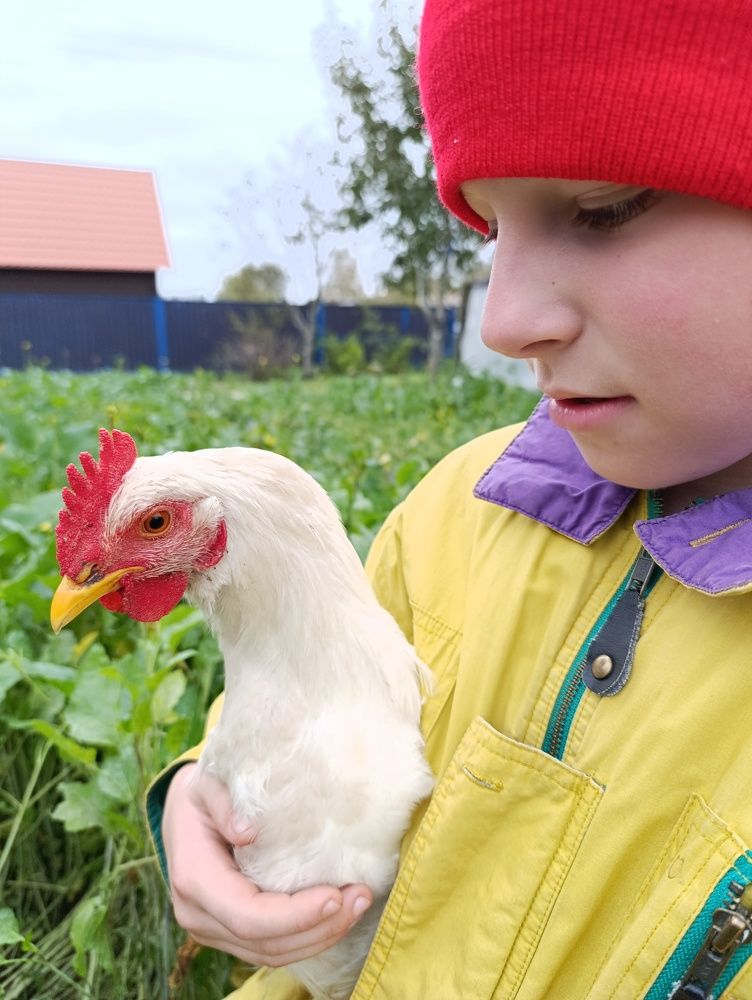 Photograph by Светлана Таркан