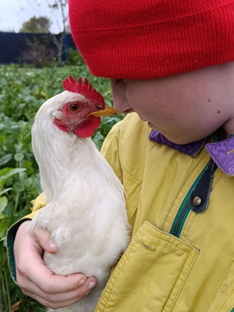 Photograph by Светлана Таркан