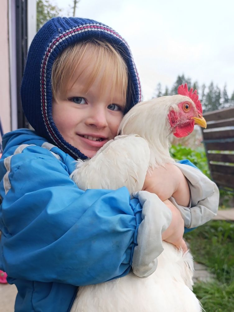 Photograph by Светлана Таркан