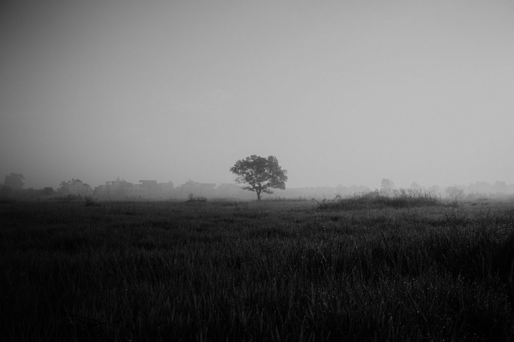 Photograph by Khoa Vo