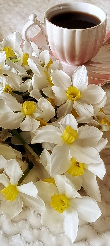 Photograph by Татьяна Исаева