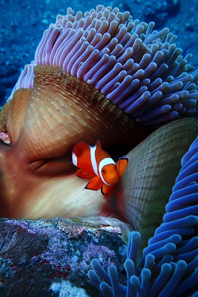 Photograph by Кирилл Леднев