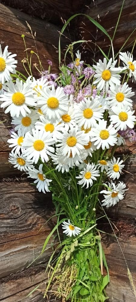 Photograph by Татьяна Исаева