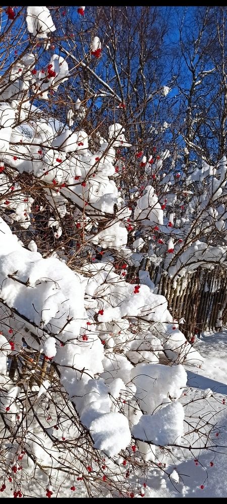 Photograph by Татьяна Исаева