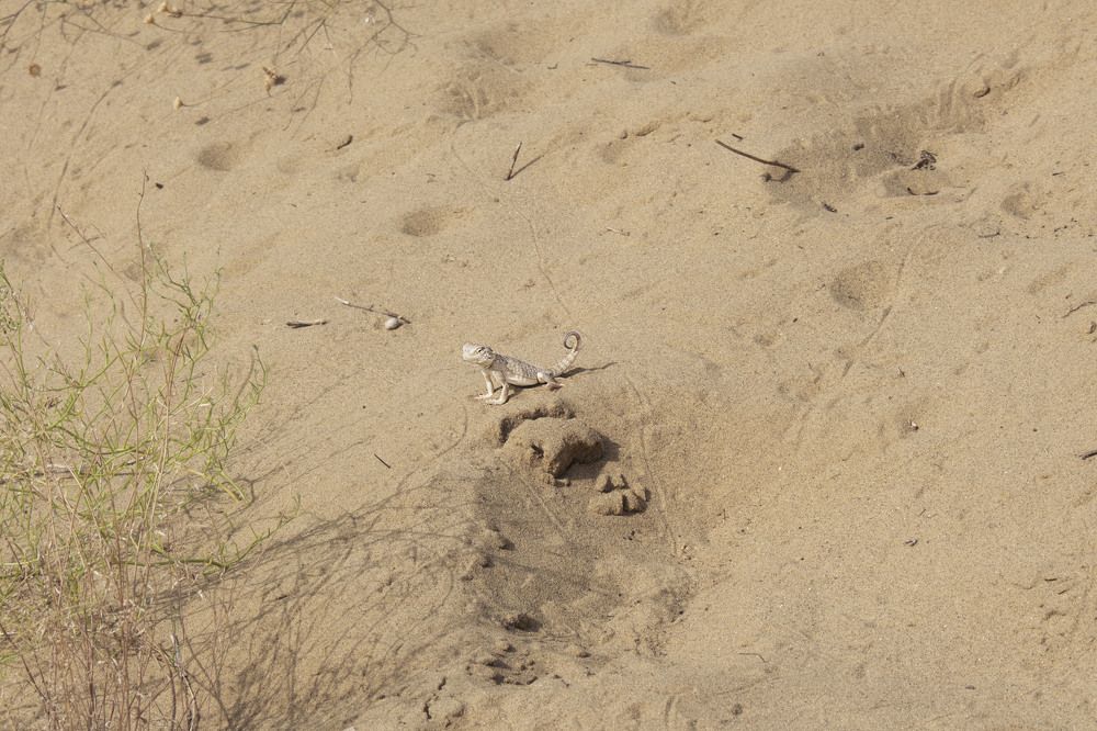 Photograph by Ирина Анцыгина