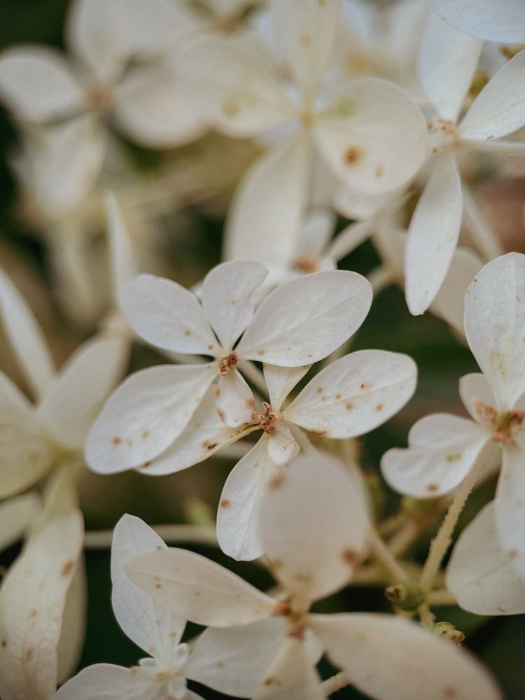 Photograph by Виктория Фирсова