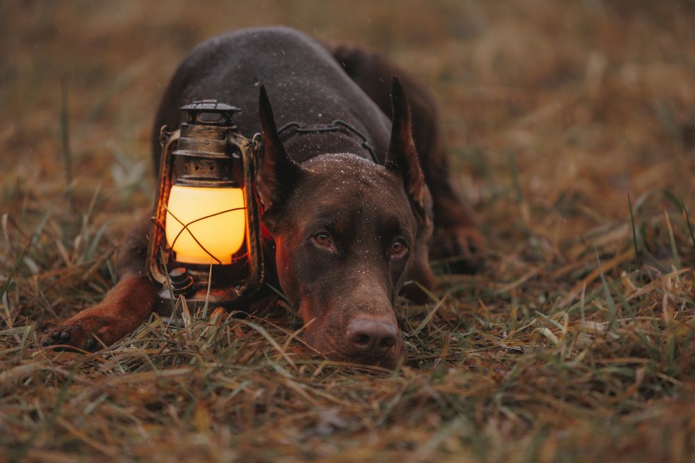 Photograph by Мария Клещенко