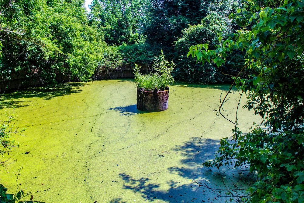 Photograph by Igors Rostikovs