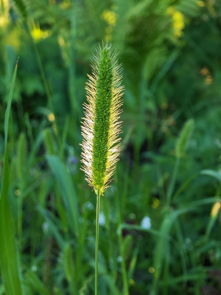 Photograph by Надежда Кангина