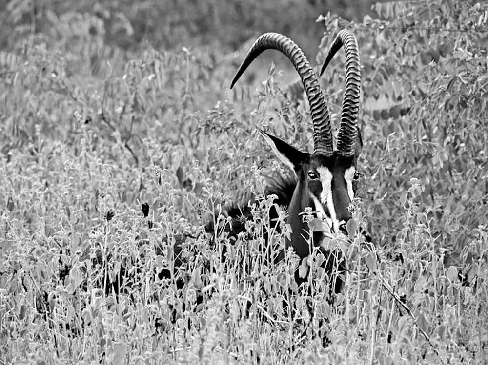 Photograph by Marjo Steffen