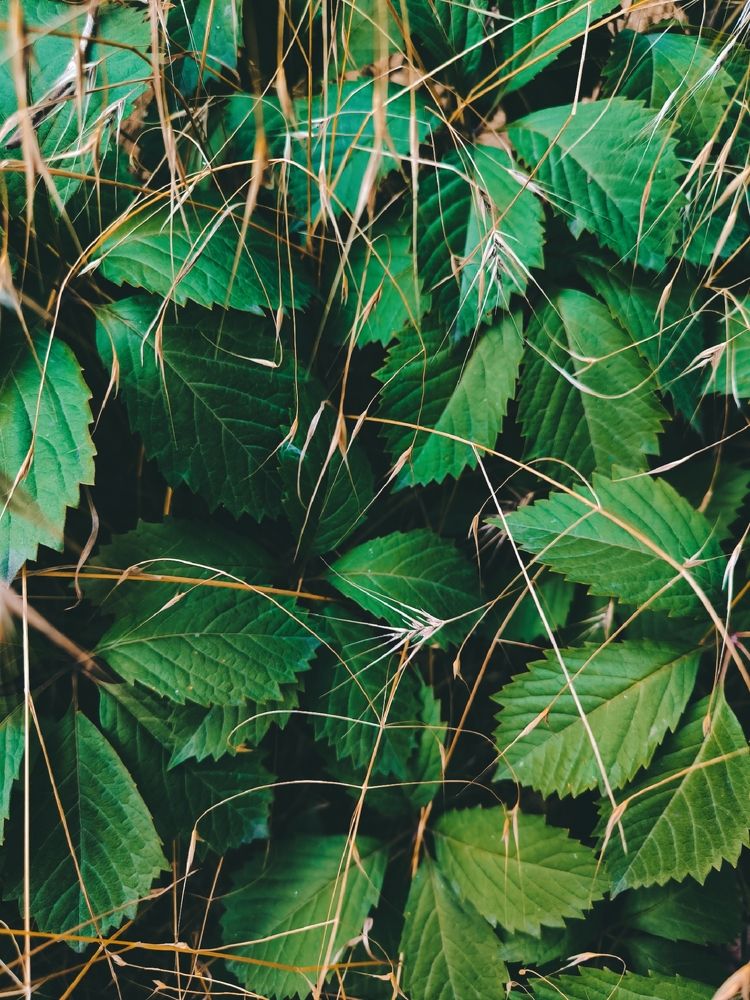 Фотография автора Екатерина Солодовник