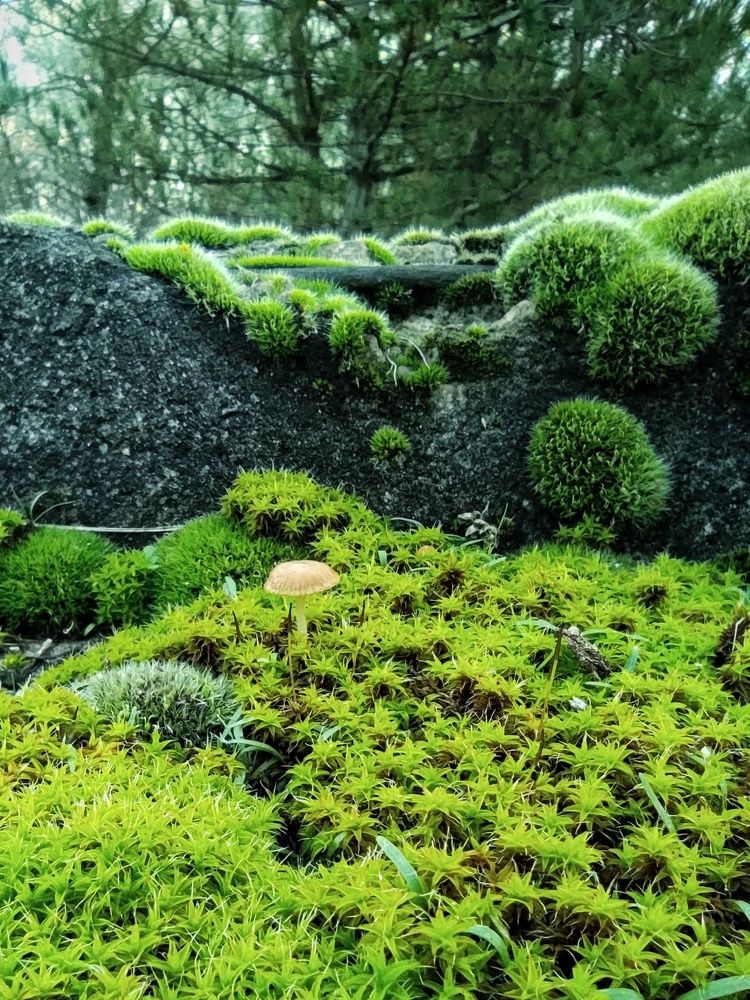 Фотография автора Екатерина Солодовник