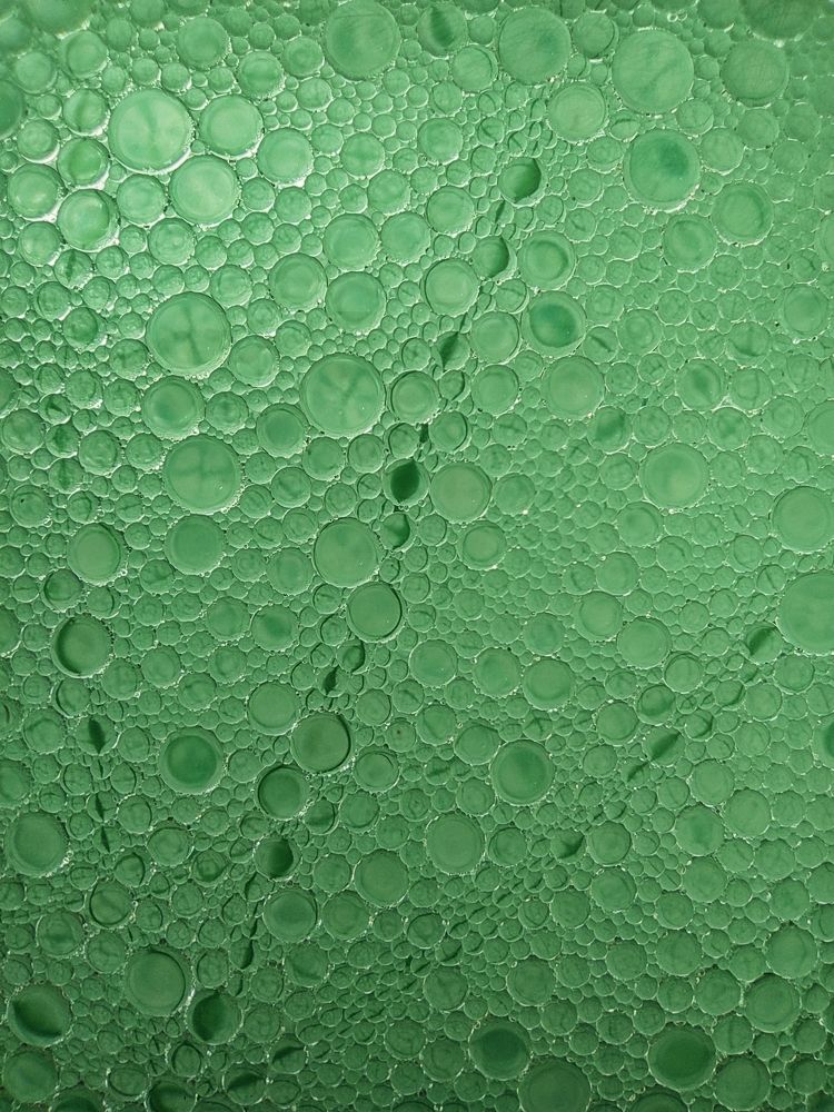 Фотография автора Екатерина Солодовник