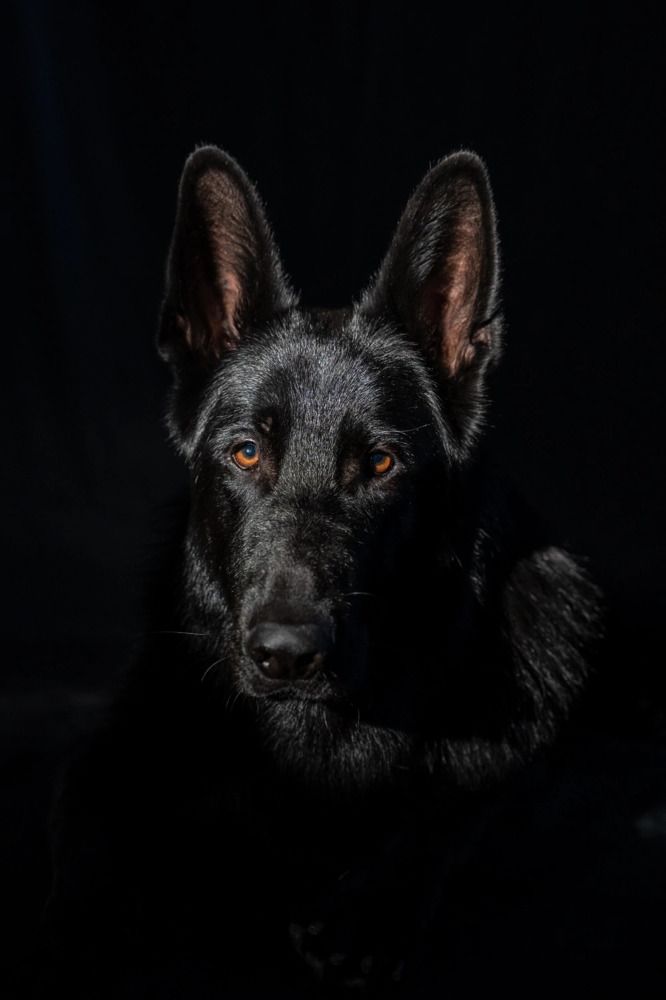 Photograph by Анна Иванова