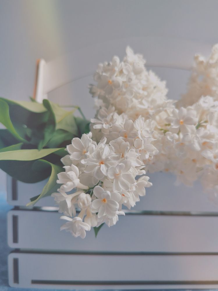 Фотография автора Екатерина Солодовник