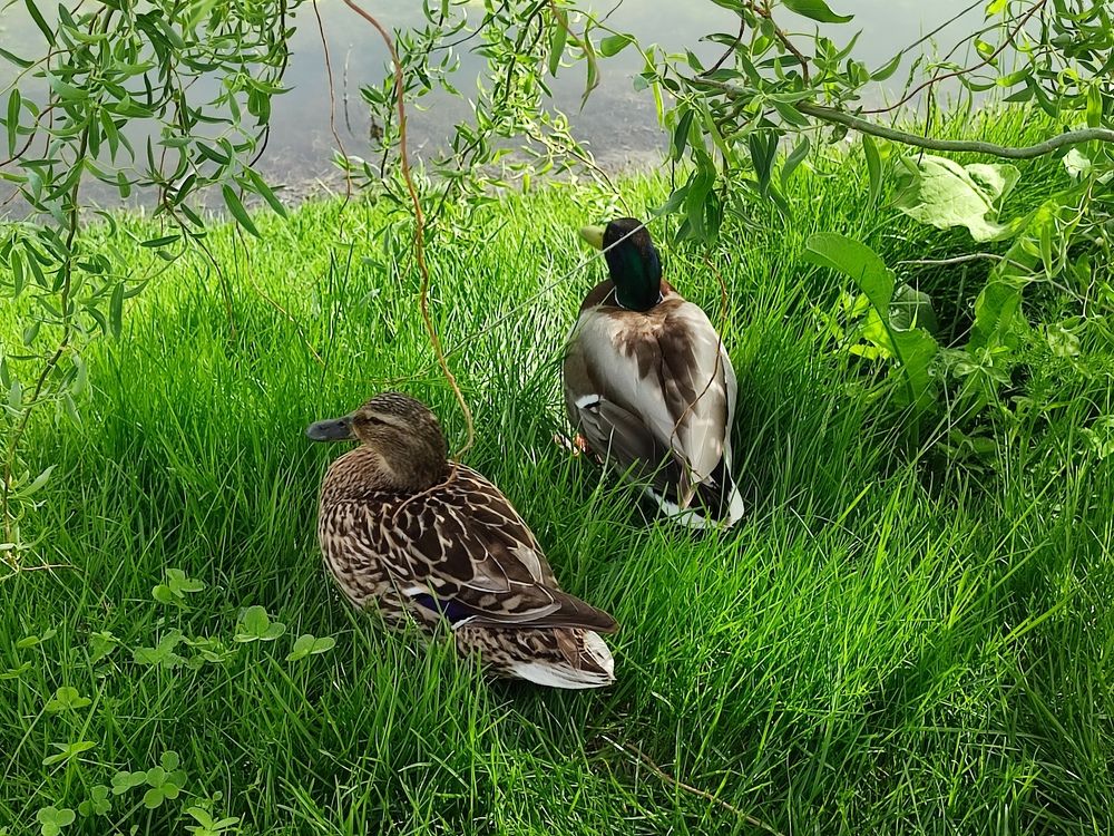 Photograph by Светлана Батурова