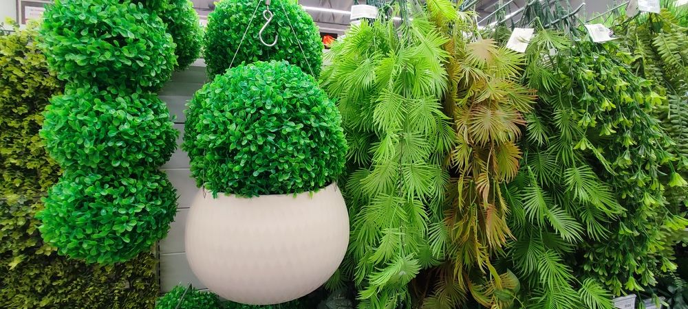 Photograph by Светлана Батурова