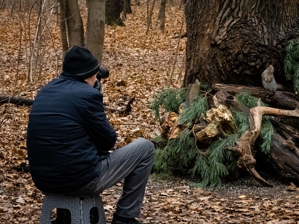 Photograph by Игорь Криулин