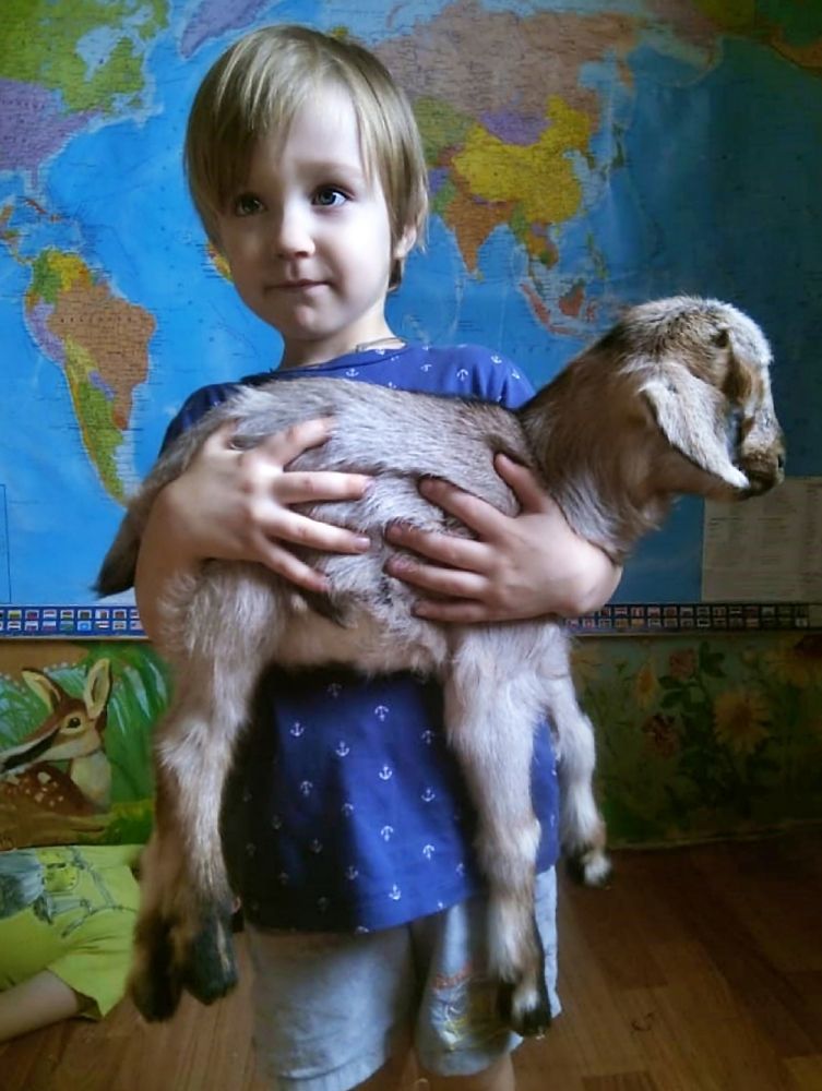 С козленком