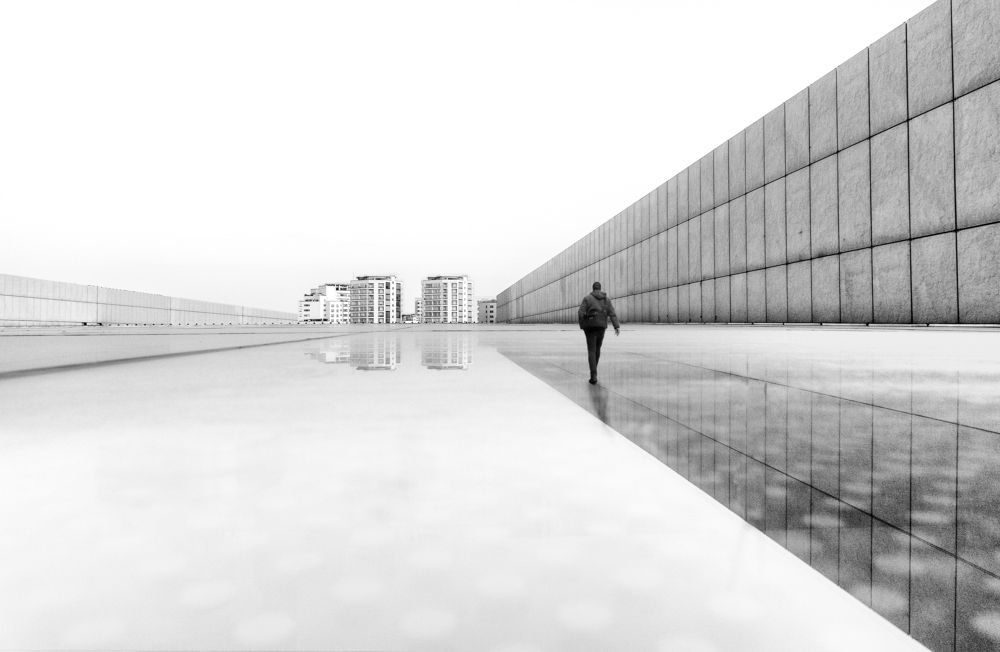 Photograph by محمودرضا نورایی