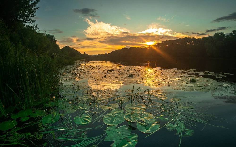 Фотография автора Михаил Назаров