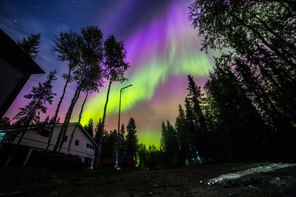 «Буйство красок»