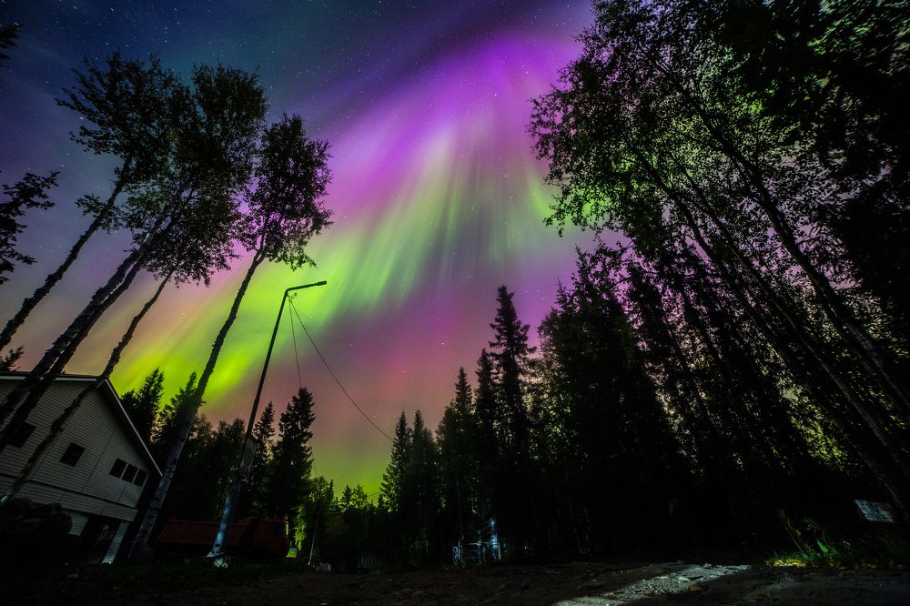 «Буйство красок»