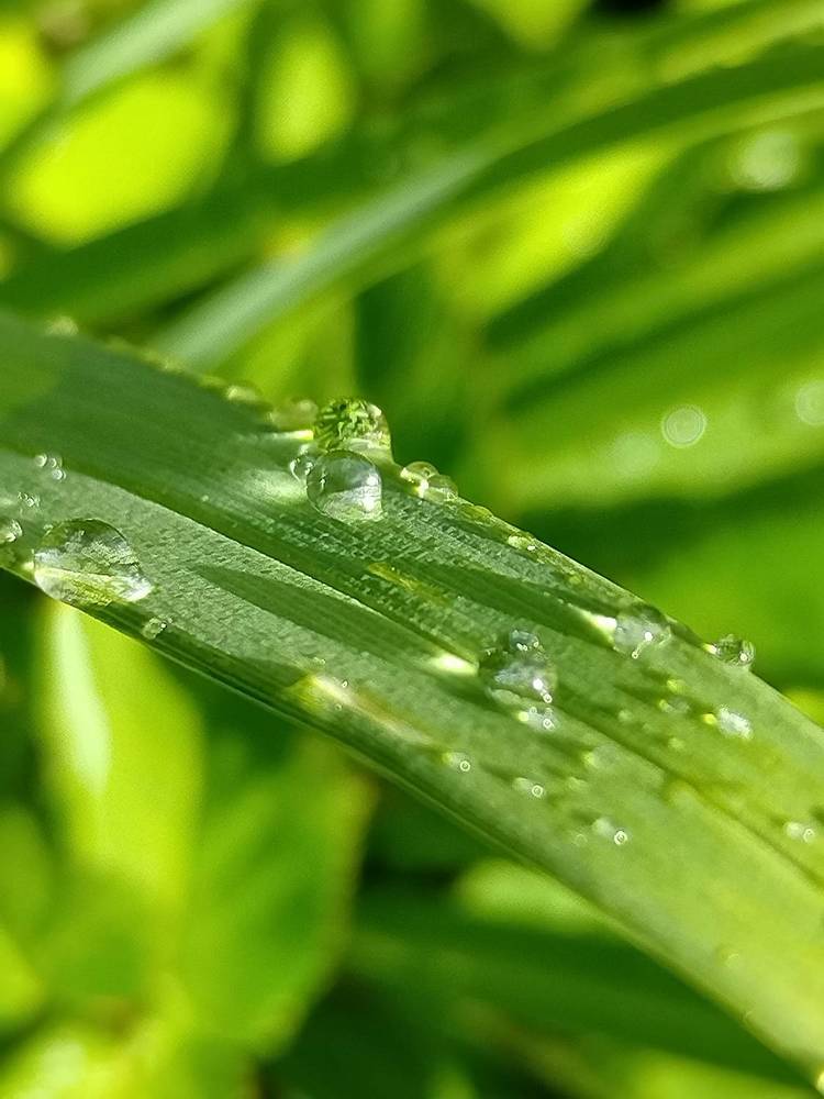 Photograph by Татьяна