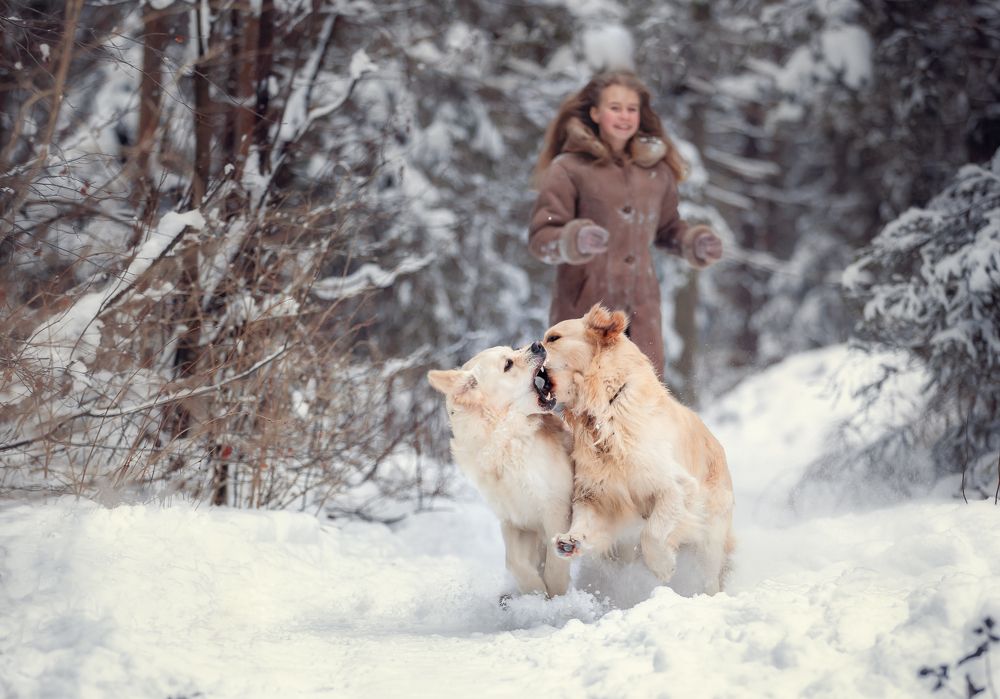 Photograph by Татьяна Кучербаева