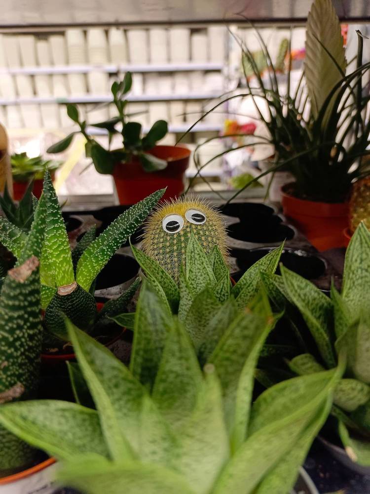 Фотография автора Андрей Занкович