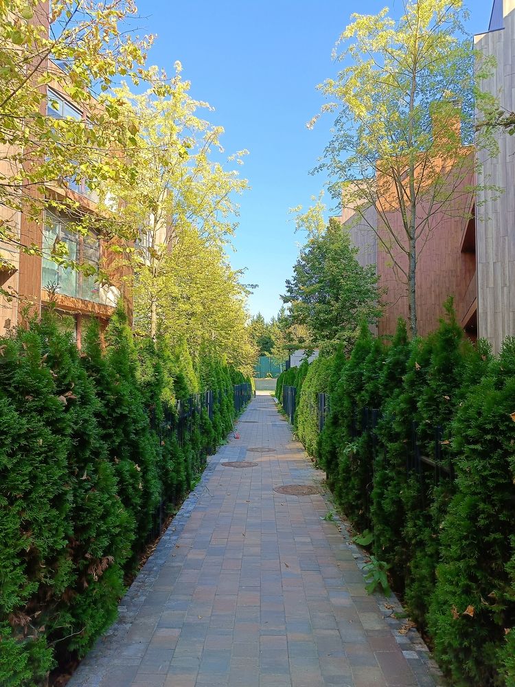 Фотография автора Андрей Занкович