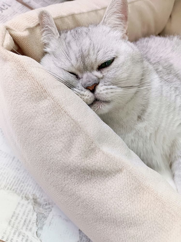 Фотография автора Андрей Занкович