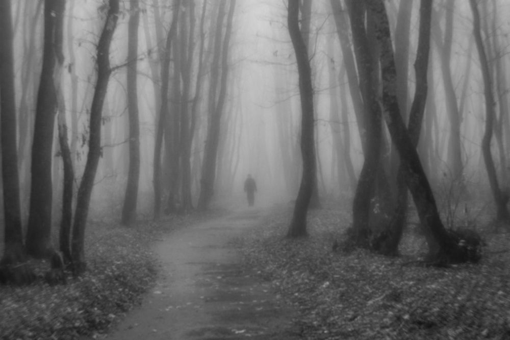 Photograph by Виталий Маслов