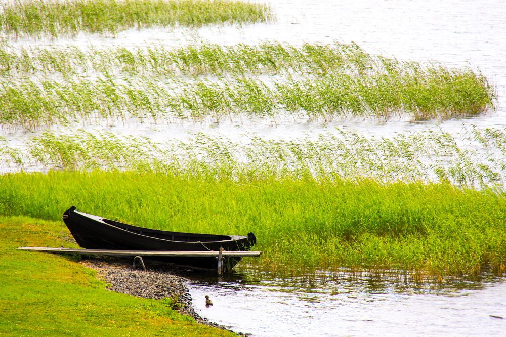 Фотография автора Elena Ku