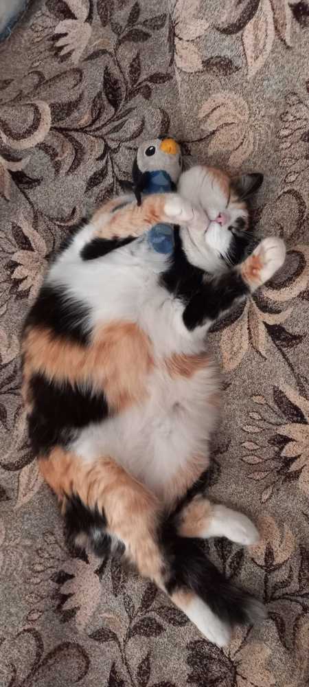 Photograph by Анастасия