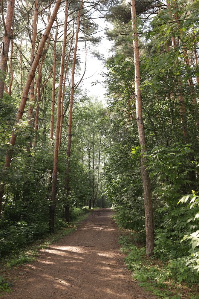 Photograph by Галина Шипухина