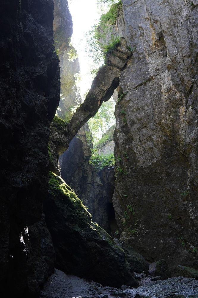 Photograph by Станислав