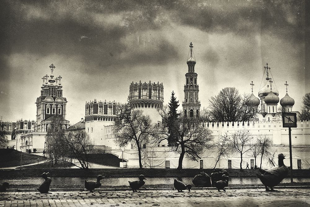 Фотография автора 