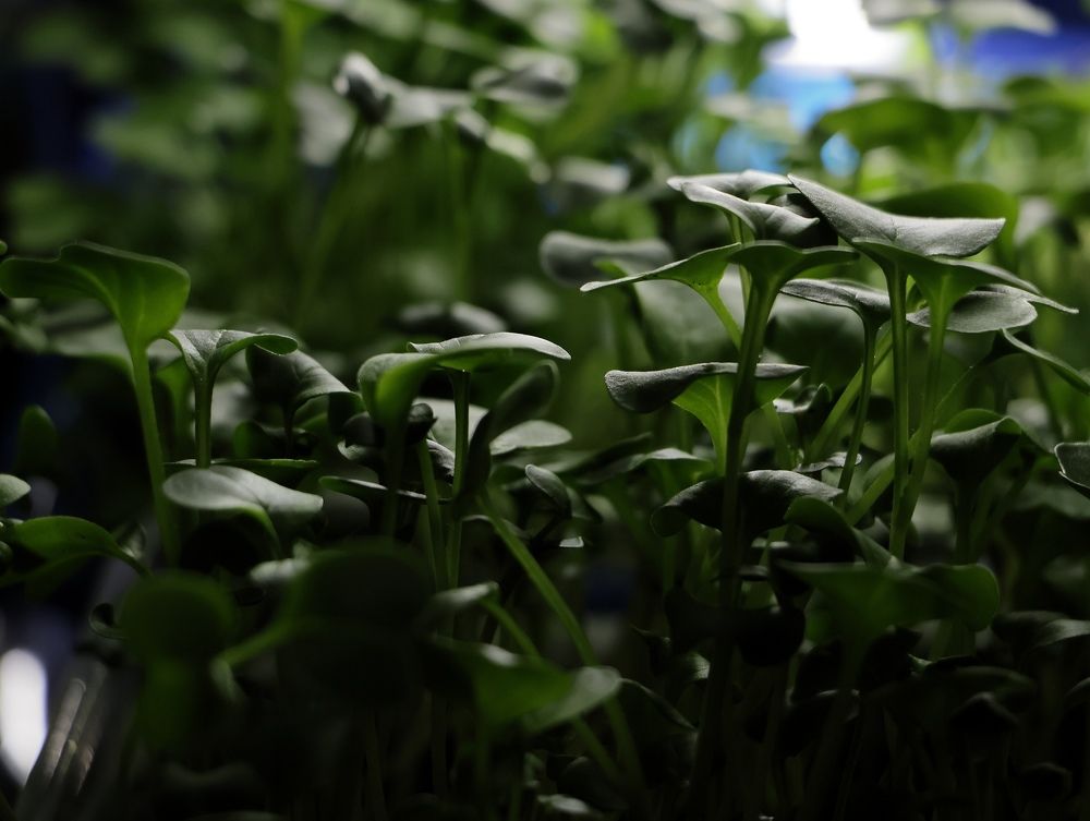 Photograph by Серёга Ануфриев