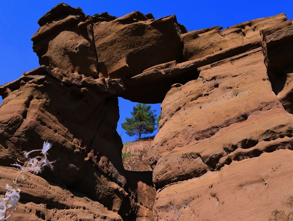 Photograph by Серёга Ануфриев