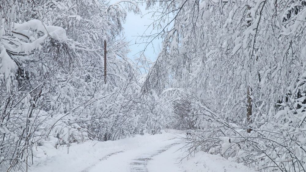 Photograph by Алла Бойко