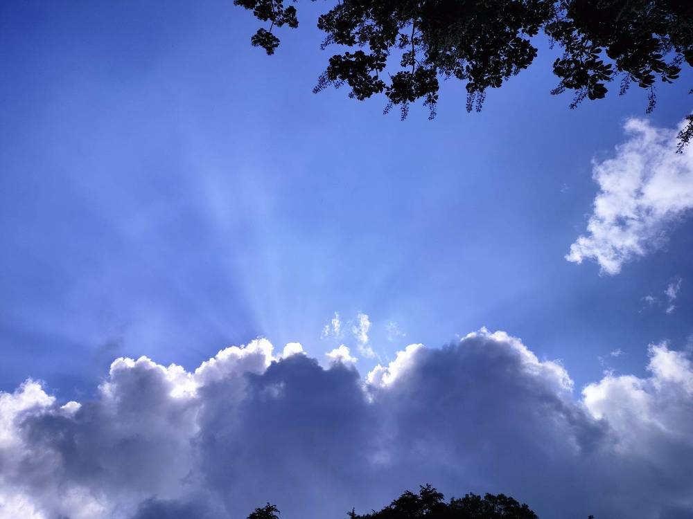 Photograph by Khushi Vashisth