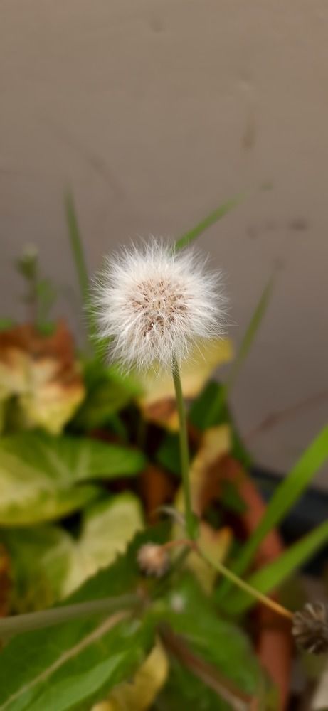 Photograph by Khushi Vashisth