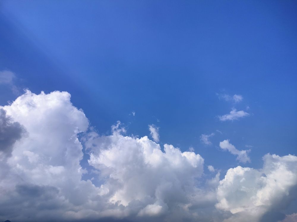 Photograph by Khushi Vashisth