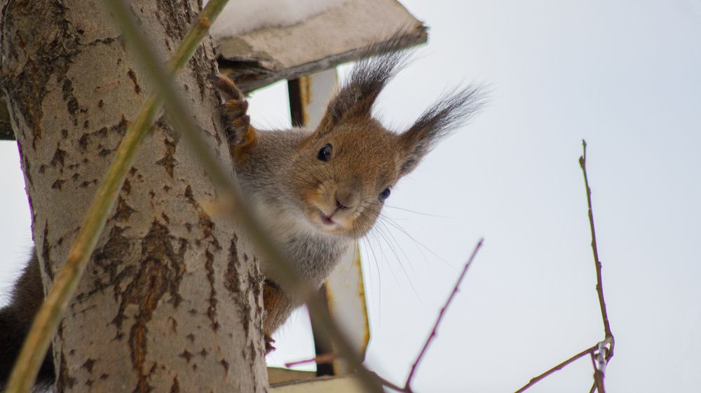 Photograph by Елизавета Нефедова