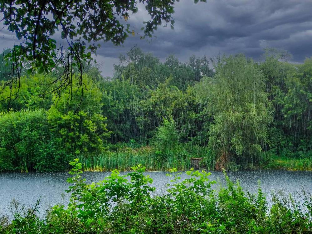 Photograph by Анжелика Трошина