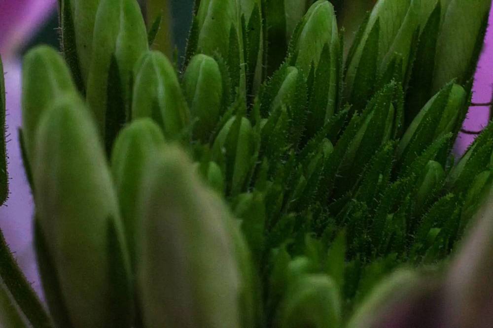 Photograph by Анжелика Трошина